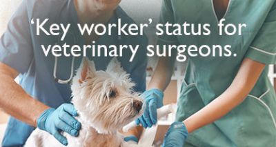 RCVS/BVA guidance regarding 'key workers'