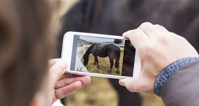 Horse healthcare videos to help owners during lockdown