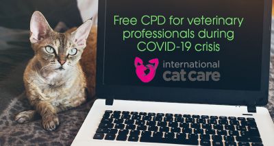 ISFM offers vets free CPD during COVID-19 lockdown