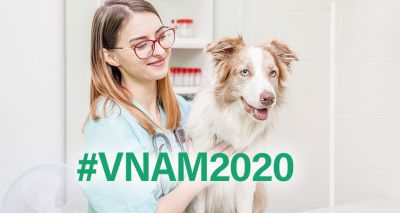 Veterinary Nurse Awareness Month goes virtual