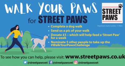 New challenge to support homeless people and their pets