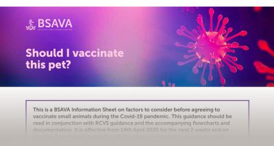 New BSAVA guidance on pet vaccinations