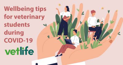 Vetlife shares COVID-19 student wellbeing tips