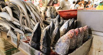 WHO calls for stricter regulations on wet markets