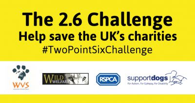 Animal charities urge supporters to join 2.6 challenge