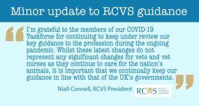 RCVS updates COVID-19 guidance for veterinary professionals