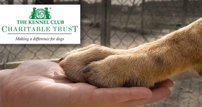 Kennel Club Charitable Trust reopens emergency relief fund