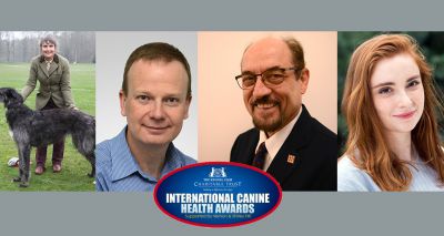 International Canine Health Awards winners revealed