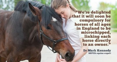 Equine owners reminded to get horses microchipped by October