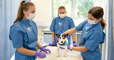 Nottingham vet students return to campus