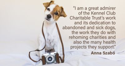 Dog photographer donates to Kennel Club Charitable Trust