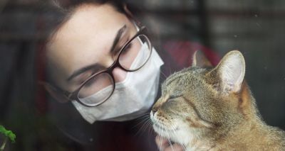 UK cat tests positive for COVID-19