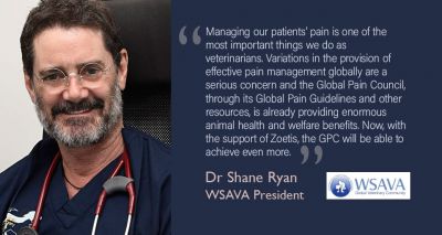 Zoetis partners with WSAVA to develop global pain management efforts