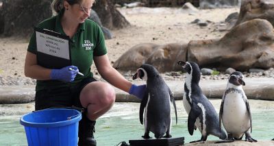 ZSL London Zoo holds annual weigh-in