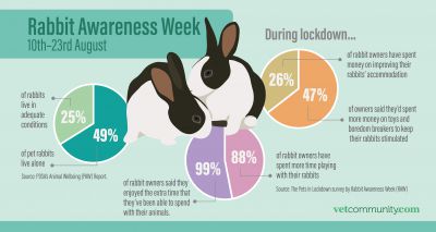 Rabbits 'happier and healthier' as a result of lockdown