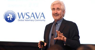 WSAVA to deliver COVID-19 update webinar