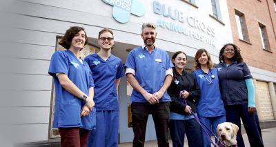 Blue Cross to star in new national TV series