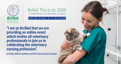 BVNA and RCVS to offer joint sessions at online event