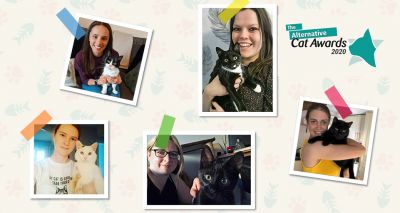 Cats Protection announces Alternative Cat Awards finalists