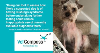 Novel tool aids diagnosis of Cushing's syndrome in dogs