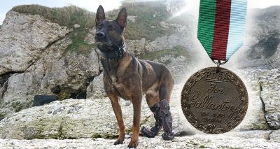 Military working dog to receive PDSA Dickin Medal