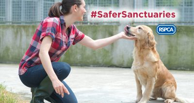 New code of practice for animal sanctuaries in Wales