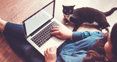 Vet Professionals offering webinars on feline health for vets