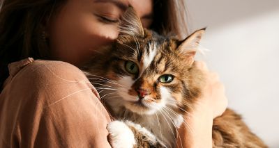 Researchers examine human-animal bond during lockdown