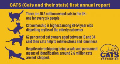 New report celebrates human-cat relationship