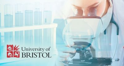 Bristol Vet School announces new PhD Studentship opportunities