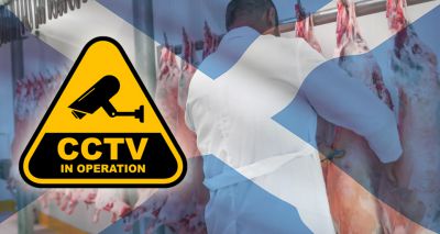 CCTV to become compulsory in Scottish abattoirs