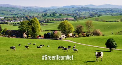 BVA launches #GreenTeamVet campaign to support sustainability