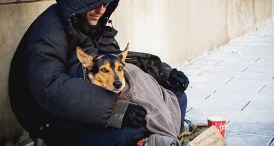 Report calls for 'pet-friendly officer' for homeless dog owners