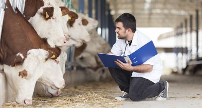 New website launched to help farm vets cope with stress