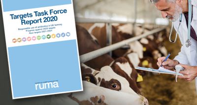 UK farm animal antibiotics targets announced for 2024