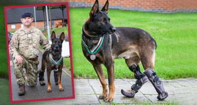 Military dog Kuno awarded for bravery