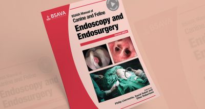 BSAVA announces updated Endoscopy and Endosurgery Manual