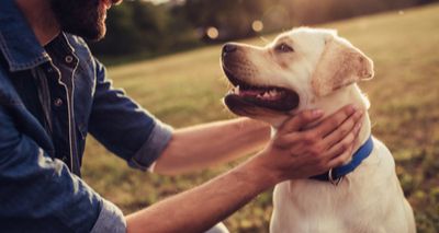 Study reveals impact of canine epilepsy on owners