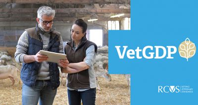 New vet grad development programme announced