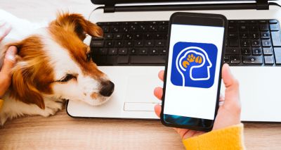 New app launched to support vets' mental wellbeing