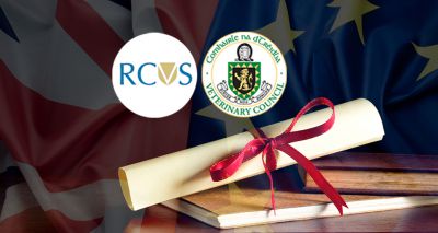 RCVS & VCI reaffirm mutual recognition of vet degrees