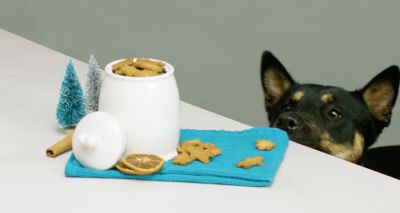 New series shares recipes for pet-safe festive treats