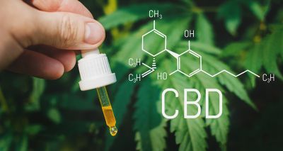 BSAVA publishes new document on use of CBD oil in dogs and cats