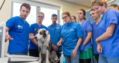 Centre for Evidence-based Veterinary Medicine celebrates ten year anniversary