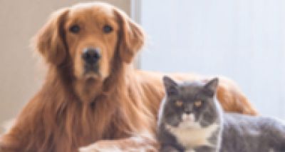 Linnaeus family acquires Pets at Home's specialist centres