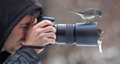 BVA announces annual photography competition