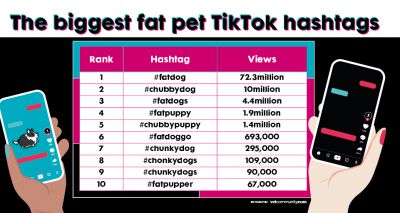 Health warning about rising obese pet trend on TikTok