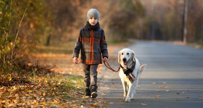 Young Kennel Club launches challenge for young dog owners