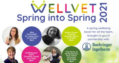 WellVet launches spring series of wellbeing talks