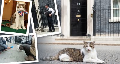 Larry the Downing celebrates ten years at Number 10